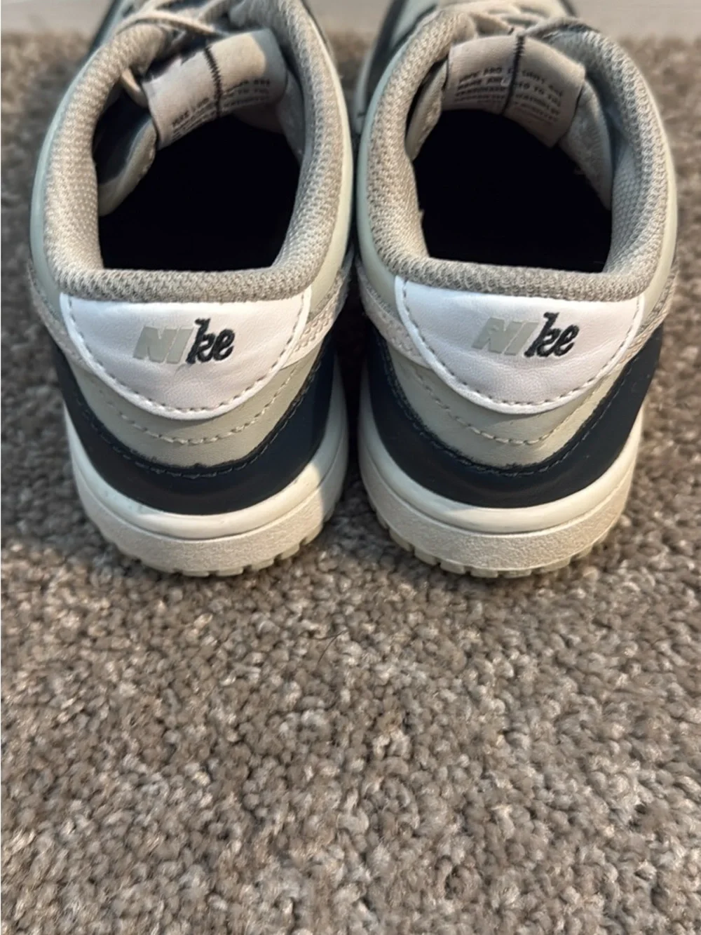 Toddler Nike Dunks
